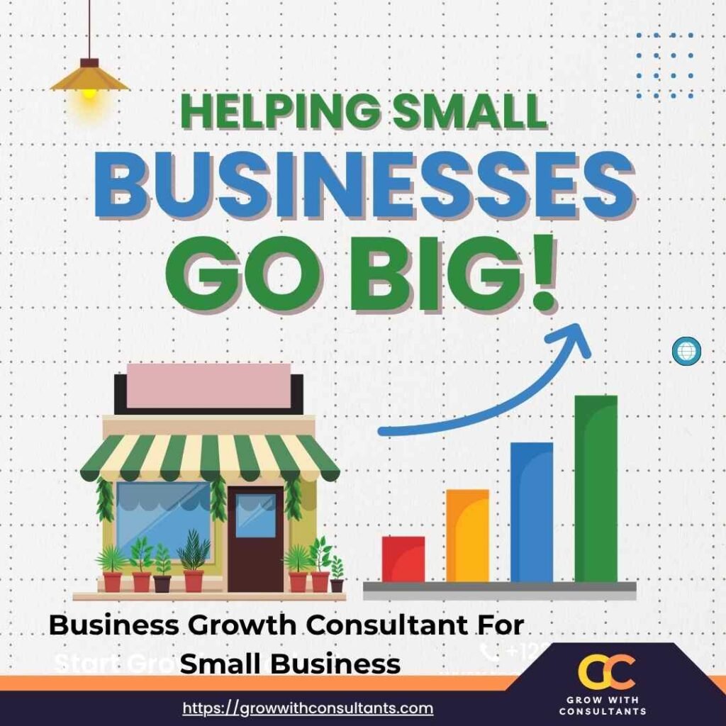 Business Growth Consultant For Small Business